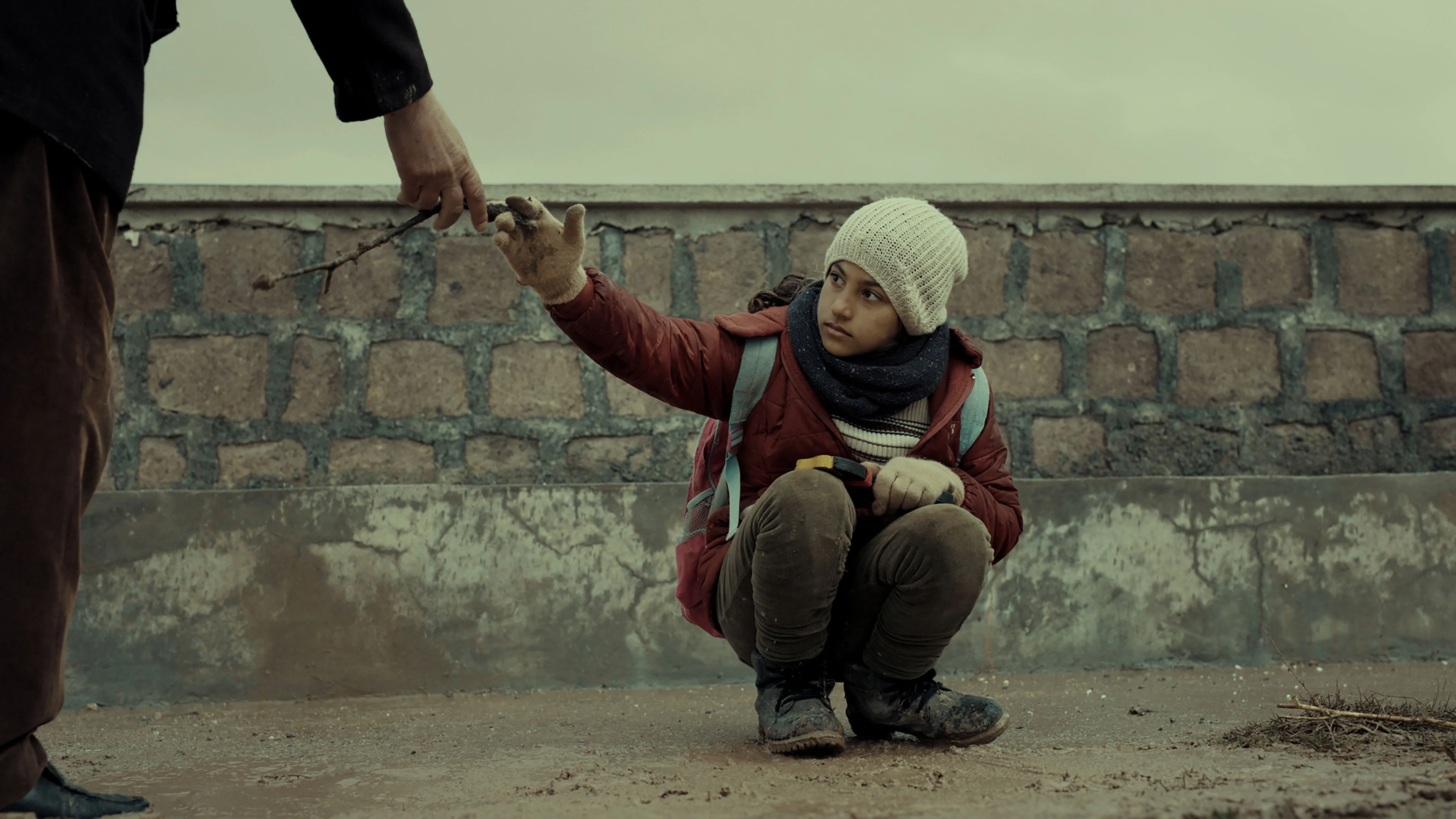 Đinh Hương Và Cẩm Chướng 