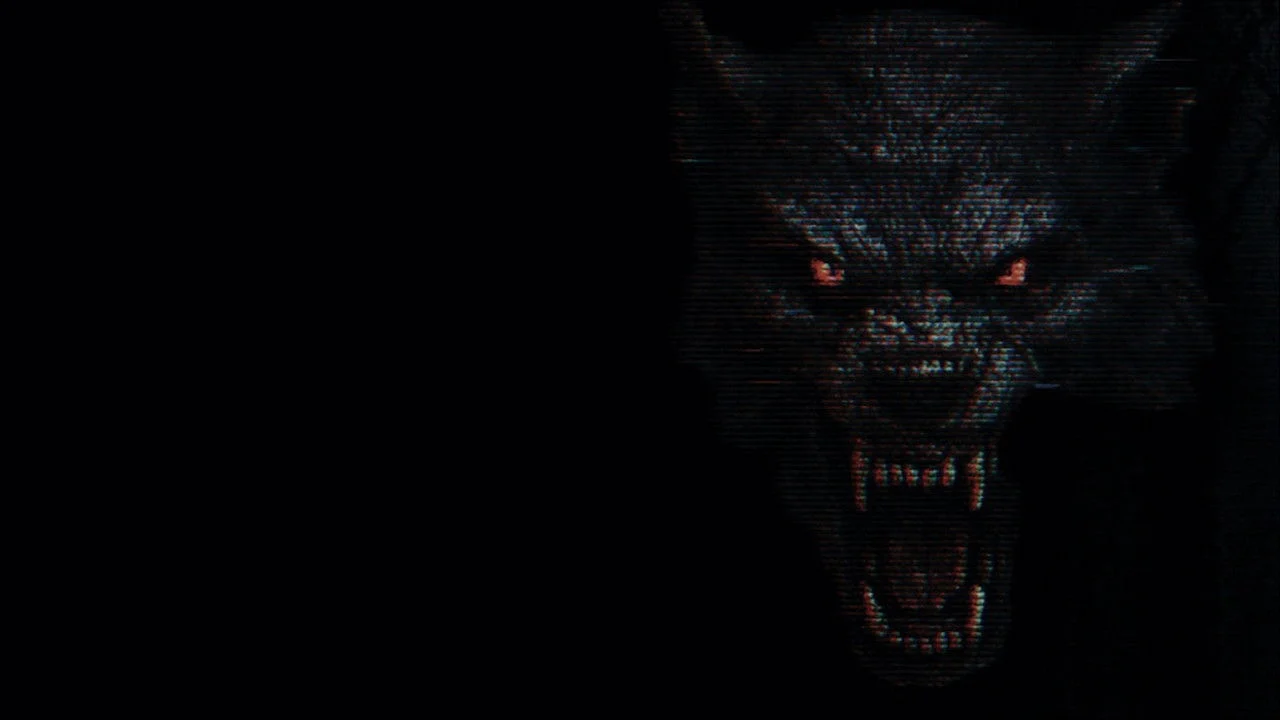 The Fairfield County Four 